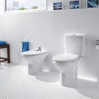 Inodoro Victoria - Imagen 2